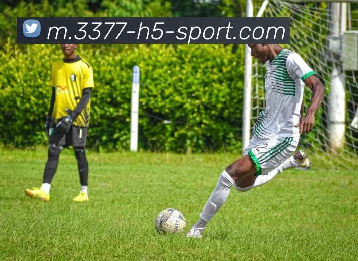 3377体育平台生态图