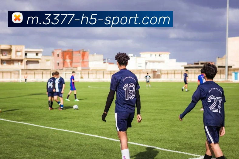 3377体育APP 封面图