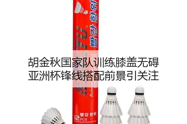 胡金秋国家队训练膝盖无碍 亚洲杯锋线搭配前景引关注(3377Sports)